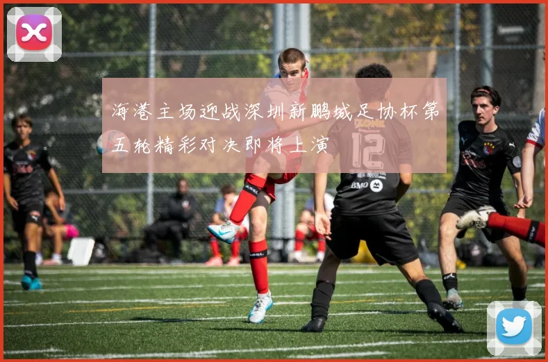 海港主场迎战深圳新鹏城足协杯第五轮精彩对决即将上演