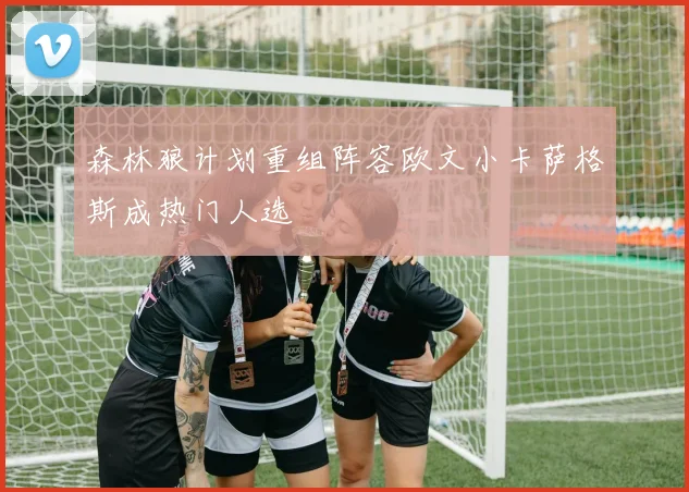 森林狼计划重组阵容欧文小卡萨格斯成热门人选